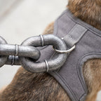 MegaChain Leash